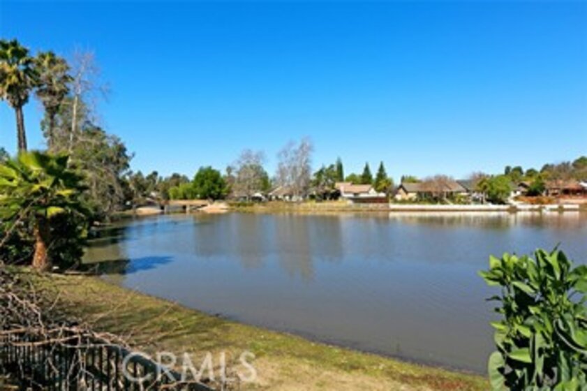 30198 La Primavera Street Photo